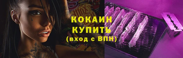 крисы Каменка