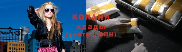 крисы Каменка