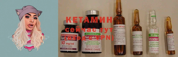 крисы Каменка