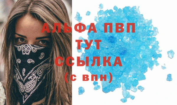 крисы Каменка