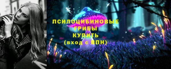 синтетический гашиш Каменногорск