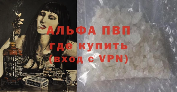 крисы Каменка