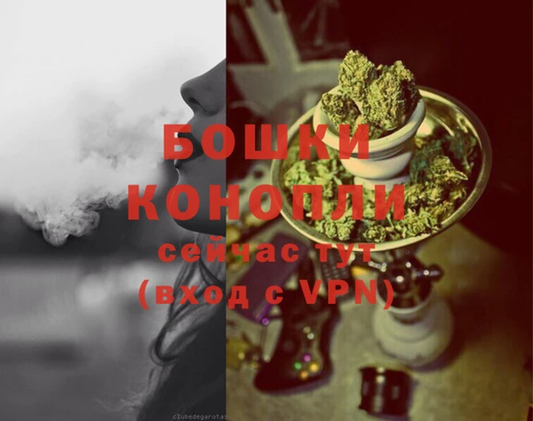 крисы Каменка