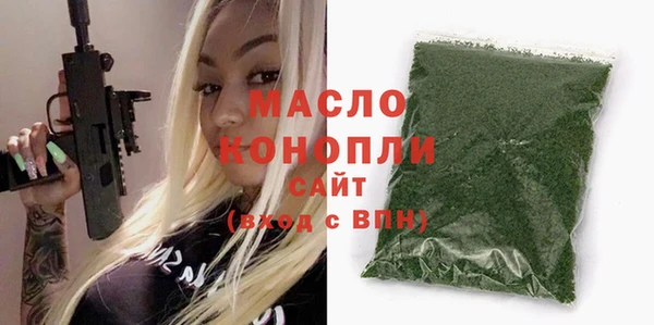 крисы Каменка